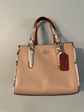 Coach Mini Crosby Carryall